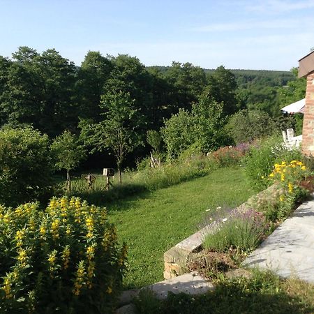 Le Ru Du Passage Villa Sart-lez-Spa ภายนอก รูปภาพ