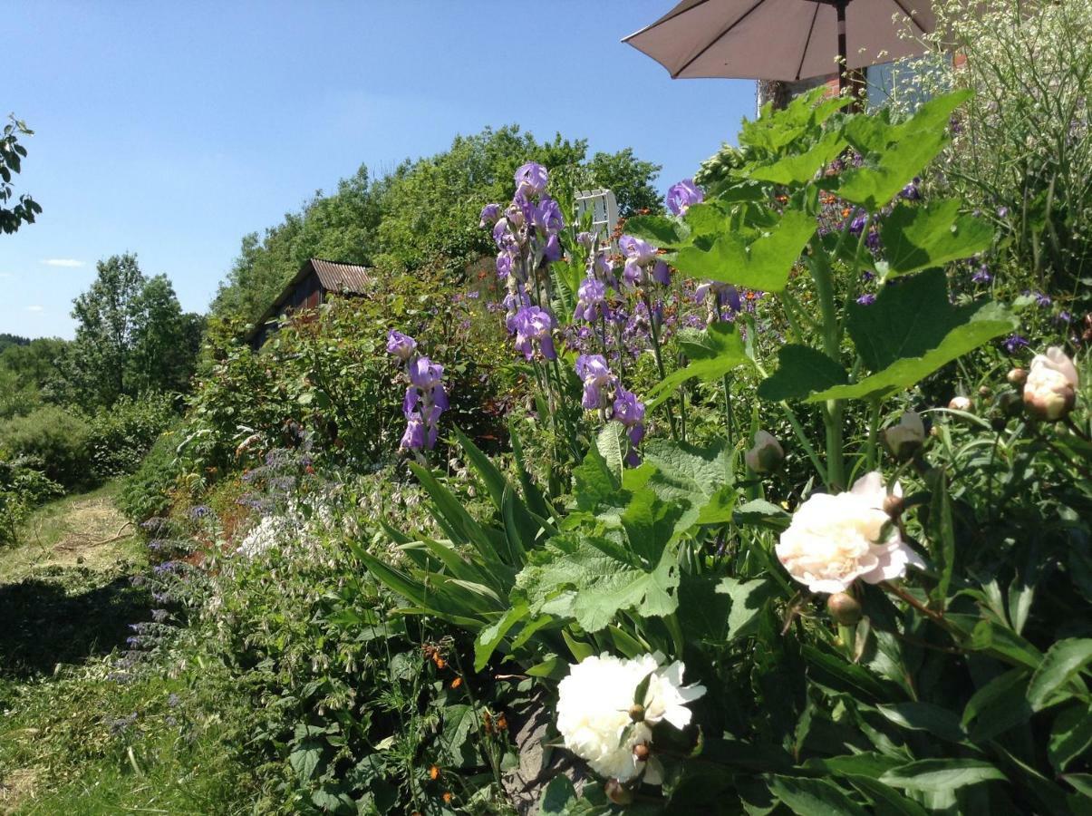 Le Ru Du Passage Villa Sart-lez-Spa ภายนอก รูปภาพ